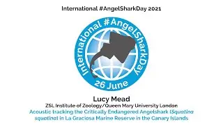 International #AngelSharkDay 2021: Lucy Mead (ZSL Institute of Zoology/Queen Mary University London)