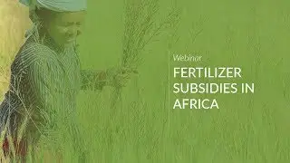 Webinar: Fertilizer Subsidies in Africa