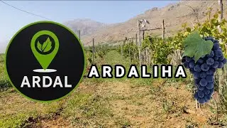 Grape Vineyards and Traditional Farming | A Journey into Iran&rsquo;s Countryside - ARDALIHA