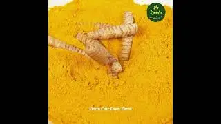 Kaadu Organics_Turmeric Powder