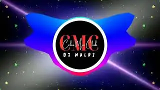 DJ Waldz X Imogen - Mini Miss U Remix