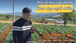 Đất rẻ đầu tư ngoại ô Đà Lạt, giá chỉ 2,2 triệu/ m2