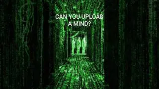 SUBSTRATE INDEPENDENCE &mdash; Can Consciousness Be Uploaded? #thematrix #simulationtheory #physic #shorts