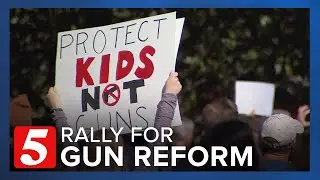 Rally planned to demand stricter gun control ahead of August special session