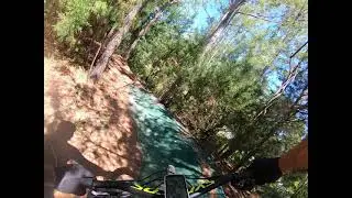Tall Pines Trail- Hulk Horry County Bike and Run park