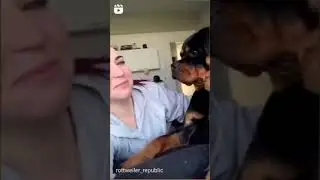Bisous chien amusant