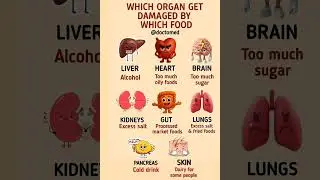 Foods That Damage Your Organs FAST | Unhealthy Food Effects Explained | Must Watch Health Tips