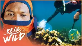Could Your Fish Have Cyanide In It? | 1000 Days for the Planet