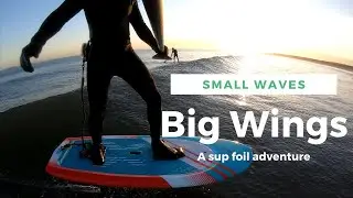Big Wings, Small Waves - A SUP Foiling Adventure