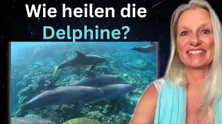 Dr Theresia Maria Delphinheilkunde  (Interview RadioSOL)