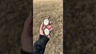Хм ??