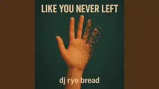 Like You Never Left