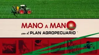 Mano a mano con el plan agropecuario | 6 de enero