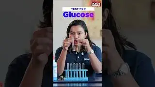 TEST FOR GLUCOSE PRELIMINARY | PLUS TWO BIOLOGY LAB | RAYS EDUCATION