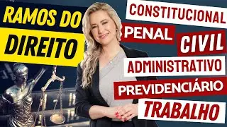 ÁREAS DO DIREITO - Direito Constitucional, Penal, Civil, Administrativo, Trabalho, Previdenciário...