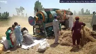 Hamari Gandam Tayar Ho gye / Village Life Pakistan /Pathaan Daily Life