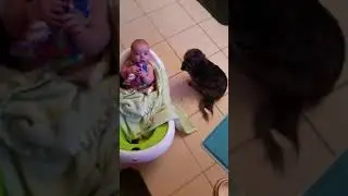 Baby and Puppy Bonding!
