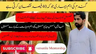 How to control Rust/Kungi disease of wheat crop | Rust management | versatile Mentorship