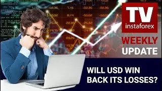 Market dynamics: currencies and commodities. Will USD win back its losses?