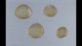Flash Rusting of Four Water Drops on Iron