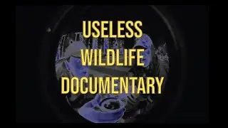 USELESS WILDLIFE DOCUMENTARY