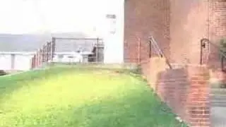 skatemob