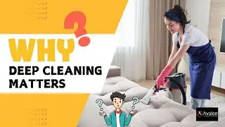 When Should You Book a Deep Home Cleaning Service