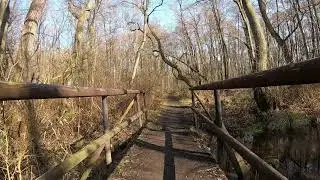 Trail run 21K
