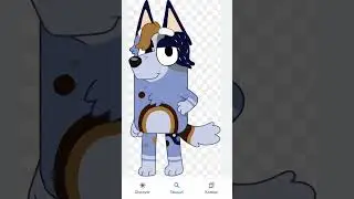 socks dan bluey