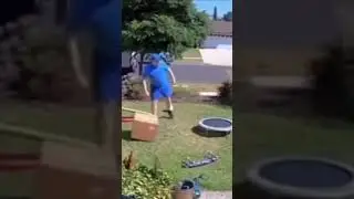 Deliveryman! #shorts #tigershorts