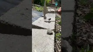 Generative Designed Rock Pick Hammer for 2D Fabrication