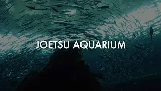 上越市立水族博物館うみがたり JOETSU AQUARIUM UMIGATARI