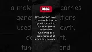 10 Must-Know Scientific Terms in English