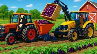Farm Work Day 🚜🍆 | Growing and Harvesting Eggplants | Real Farm Animation