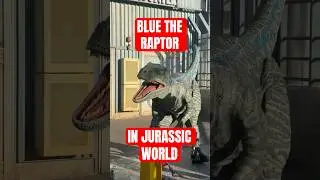СИНИЙ СТАНОВИТСЯ АГРЕССИВНЫМ в &laquo;Мире Юрского периода&raquo; в Universal Studios Hollywood