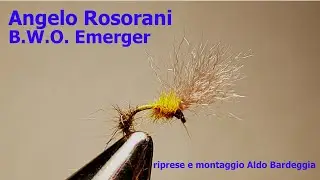 Rosorani 2 BWO Emerger2