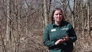 Spring Has Sprung in Summit Metro Parks