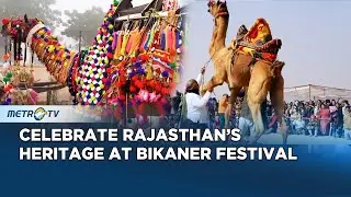 Bikaner Camel Festival 2026 Celebrates Rajasthan's Cultural Heritage