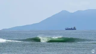 South Swell Sessions