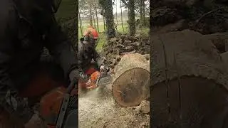 Husqvarna 592xp Chainsaw