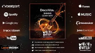 DiscoVer. - Shining (Juloboy Radio Edit)