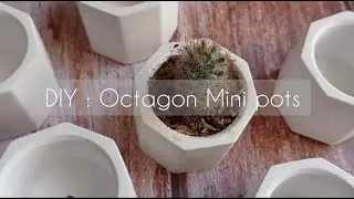 DIY: OCTAGON MINI POTS | PLASTER OF PARIS | SUCCULENTS POTS