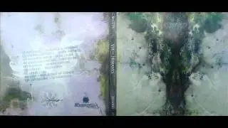 Cililum - Positive Delta S