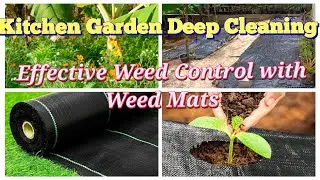 kitchen Garden Deep cleaning/അടുക്കളത്തോട്ടം വൃത്തിയാക്കൽ /Weed Control Mat Ground Cover 