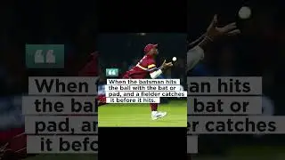 Cricket Terms - Caught