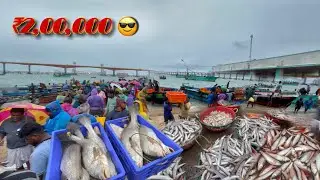 ONE DAY FISHING | PAMBAN FISHING HOURBAR | 24/11/25 TODAY FISH SITUATION | FISH SALE &RATE 