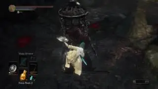 DS3: Target Shield PVE parrying