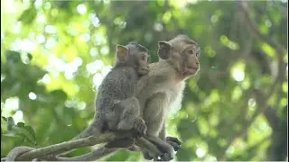 Poor Baby Anissa Is Lucky More Than Sister Alba In This Young Age Has Sibling Love and Care Behind.