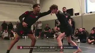 anthony marcano x adam morris