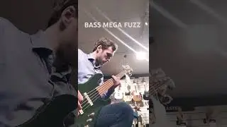 Fuzzed out Sludge/Stoner wall of sound bass (Charvel SD JJ V bass - Octaver - Big Muff Picklel)